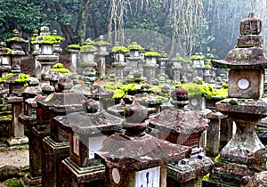 The Kasuga Taisha Grand Shrine in Nara.