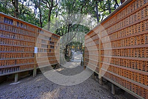 Kasuga Taisha, a Shinto shrine with beautiful lantern