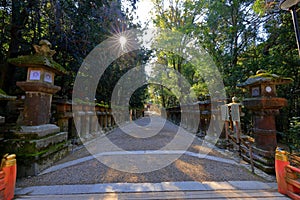 Kasuga Taisha, a Shinto shrine with beautiful lantern