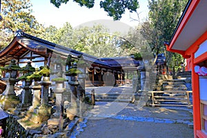 Kasuga Taisha, a Shinto shrine with beautiful lantern