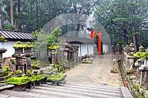 The Kasuga Taisha Grand Shrine in Nara.