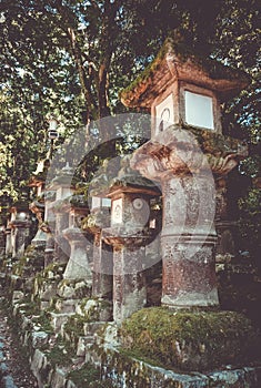 Kasuga-Taisha Shrine lanterns, Nara, Japan