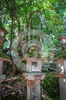 Kasuga-Taisha Shrine lanterns, Nara, Japan