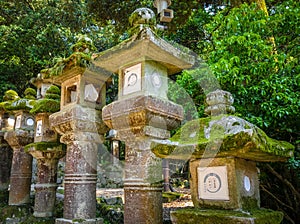Kasuga-Taisha Shrine lanterns, Nara, Japan