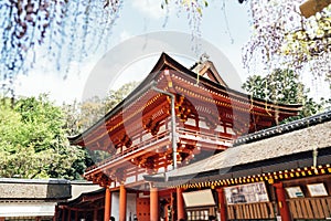 Kasuga taisha shrine with many tourists