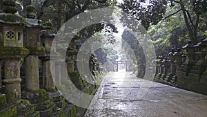 Kasuga Taisha Shrine, Nara, Honshu Island, Japan