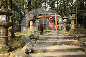 Kasuga Taisha Shrine, Nara,Japan