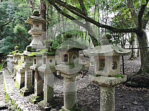 Kasuga-taisha Stone Lamp