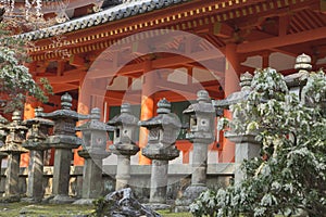 Kasuga-Taisha temple, torii, cherry blossoms and stone lanterns in Nara in Japan