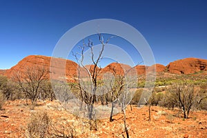 KATA TJUTA, AUSTRALIA - The Olga`s photo