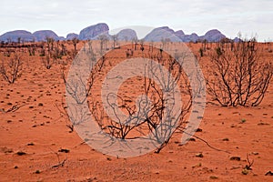 Kata Tjuta - Ayers Rock