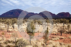 Kata Tjuta - Ayers Rock photo