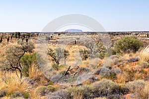 Kata Tjuta Dunes Viewing Area, a view at Uluru monolit, Yulara, Ayers Rock, Red Center, Australia