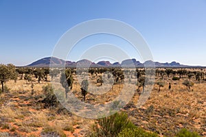 Kata Tjuta Dunes Viewing Area, Yulara, Ayers Rock, Red Center, Australia