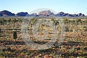 Kata Tjuta landscape
