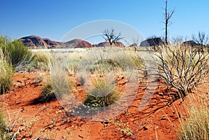 Kata Tjuta (The Olgas)