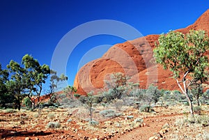 Kata Tjuta (The Olgas)