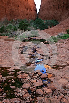 Kata Tjuta, the Olgas, Australia photo