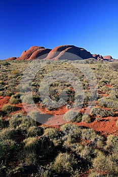 Kata Tjuta, the Olgas, Australia photo