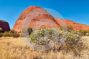 Kata Tjuta. The Olgas. Northern Territory. Australia