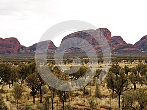 Kata Tjuta (the Olgas) in Uluru National Park