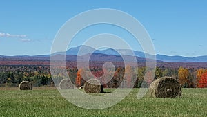 Katahdin Mountain Hayfield