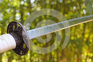 Katana Samurai Sword With Bamboo Forest