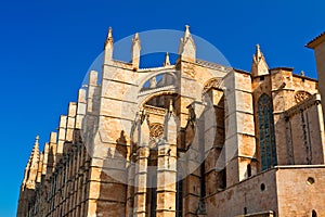 Kathedrale La Seu