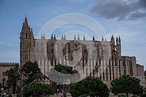 Kathedralen-La Seu, Royal Palace, La Almudaina in Palma de Mallorca, known places in Palma de Mallorca