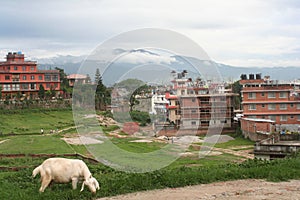 Kathmandu, Boudha