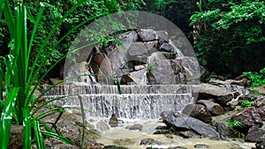 Kathu Waterfall In Beautiful Rain Forest In Kathu District