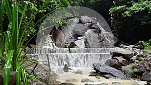 Kathu waterfall in beautiful rain forest in Kathu District
