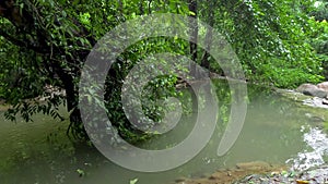 Kathu waterfall water gently flowing down the rocks Patong Phuket Thailand