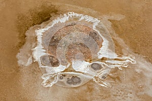 Kati Thanda-Lake Eyre, South Australia, Australia