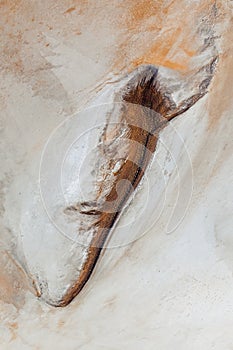 Kati Thanda Lake Eyre, South Australia, Australia