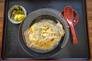 Katsu-Don, Katsudon, Deep fried pork with egg