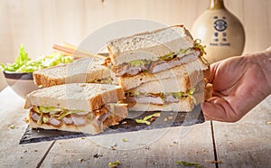 Katsu Sando photo