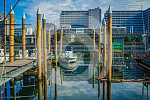 Katsushima Canal (Shinagawa Ward)