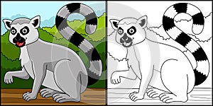 Katta Animal Coloring Page Colored Illustration