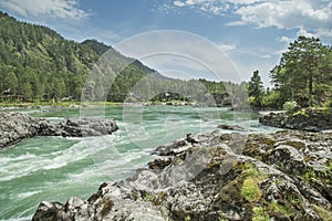 Katun river in the Altai mountains, Siberia. Forest and rocks on the banks