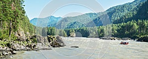 Katun river in the Altai mountains, Siberia. Forest and rocks on the banks. Panoramic view