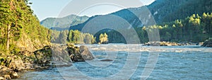 Katun river in the Altai mountains, Siberia. Forest and rocks on the banks. Summer. Panoramic view