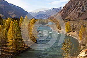 Katun River at autumn in Altai Republic