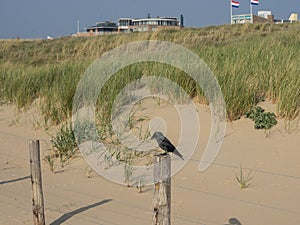 Katwijk an zee and the city of leiden in the Netherlands