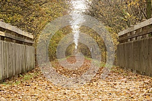 Katy trail bridge photo