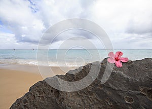 Kauai Anini Beach photo
