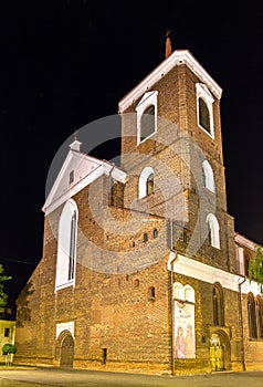 Kaunas Cathedral Basilica at night