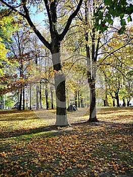 Kaunas School of Art on Owl Hill photo