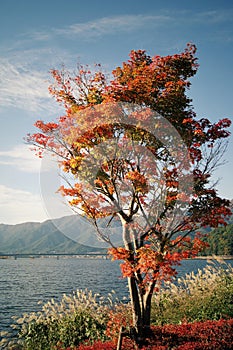 Kawaguchi Lake