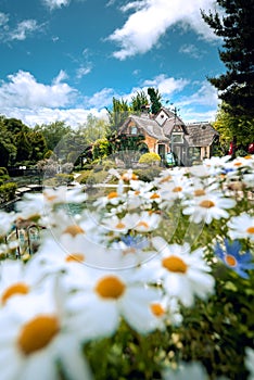 Kawaguchiko Music Forest Museum with Flowers in front